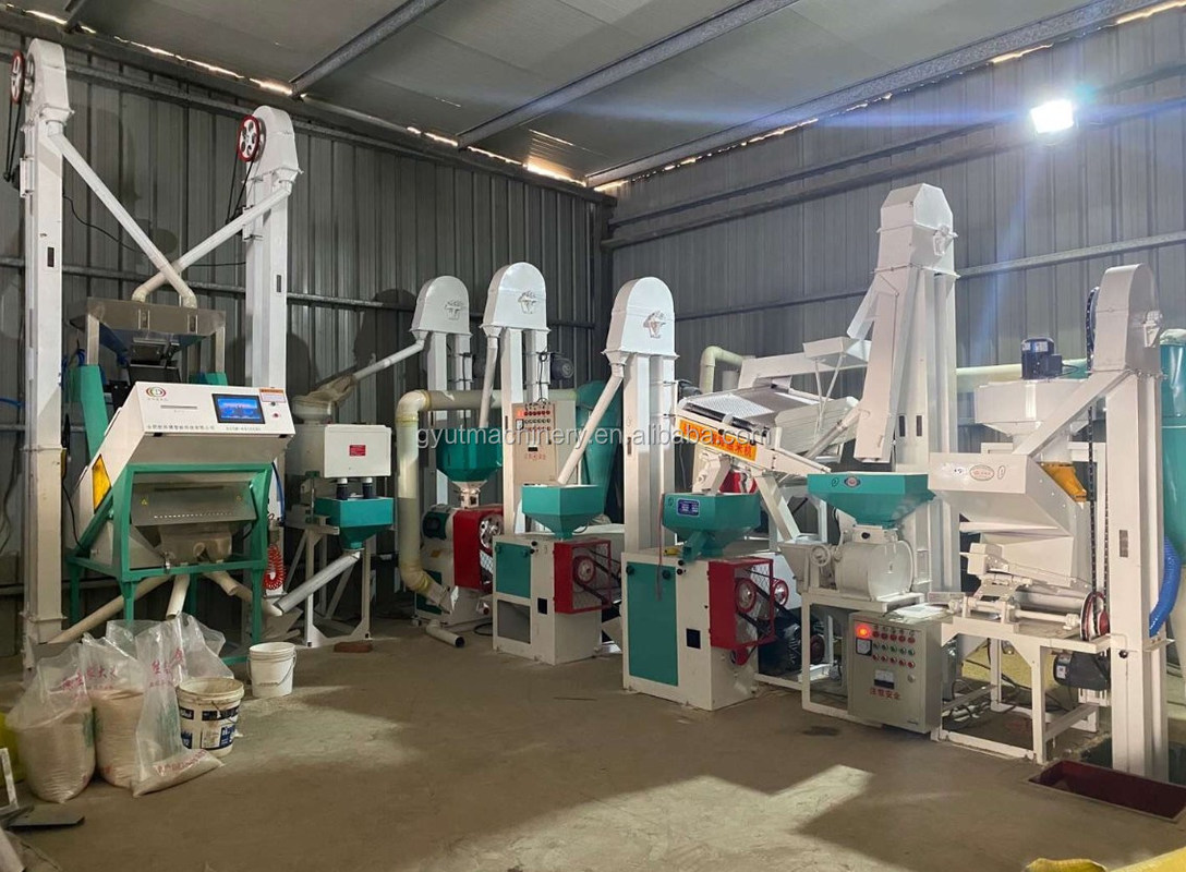 Farms Rice Milling Machines With Stone Remover Agriculture Rice Polisher Color Sorter Packing Machines
