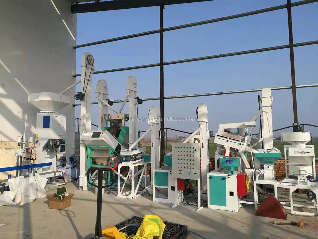 20 Ton Rice Millet Milling Plant with Color Sorter Competitive and Raw Material Rice