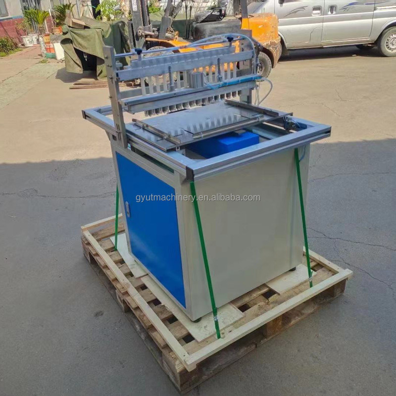 Tomato Seeding Machine 120 Tray Lettuce Seed Vegetable Seed Planter for Plastic Tray