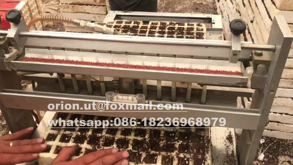 Machinery Repair Shops Benefit from 100M Carrot Pepper Tomato Broccoli Seeding Machine