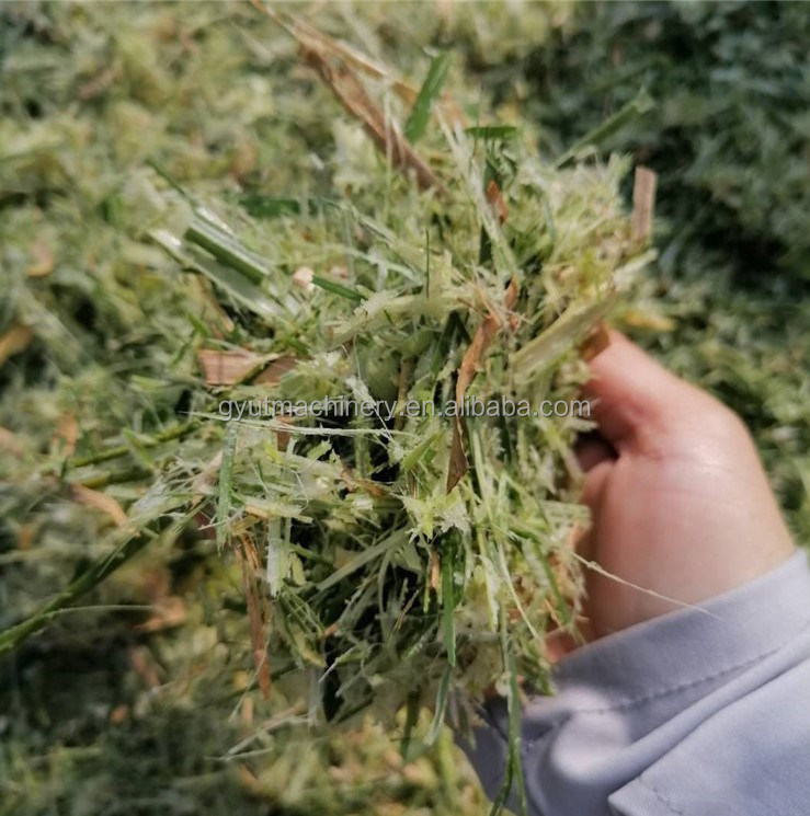 First-class Mini Fodder Cutter Chaff Cutter for Livestock Grass Cutting in Pakistan