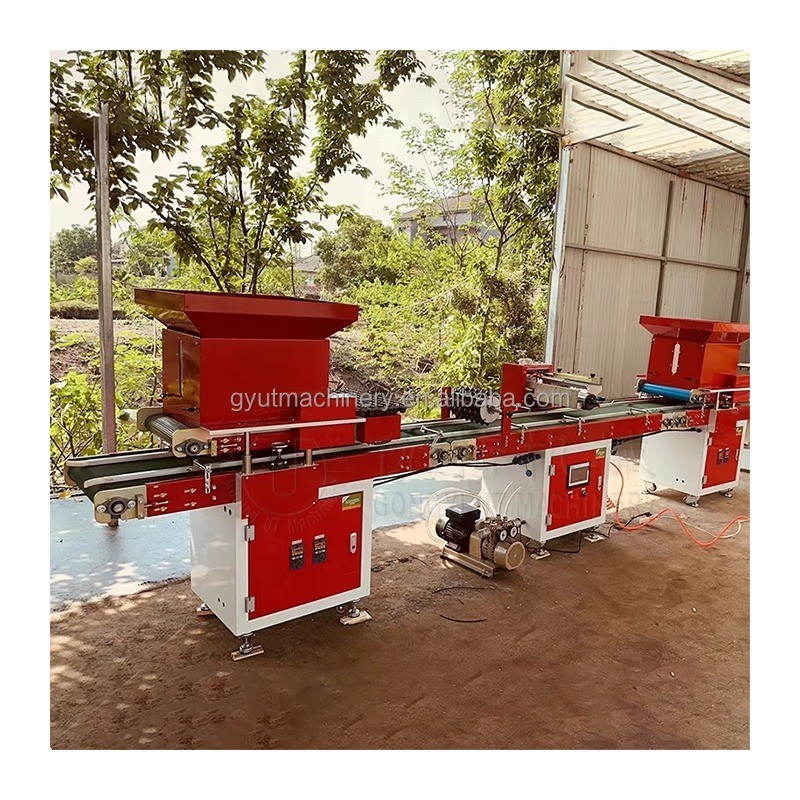 200 KG Full Automatic Seedling Machine for Lettuce Seeds Tray Key words Nursery Making
