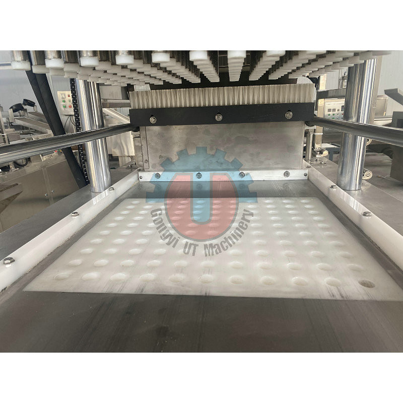 Automatic 300 Kg/H Silver Coffee Lump Sugar Press Machine for Cube Sugar Manufacturing