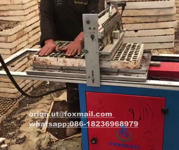 7 Rows Vegetable Tray Seeding Machine for Good Economic Benefits and Easy Operation