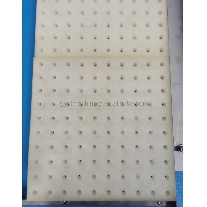 7 Rows Private Farm Vegetable Seed Seeder Seedling Point Planting Machines Tray Seeding Machines