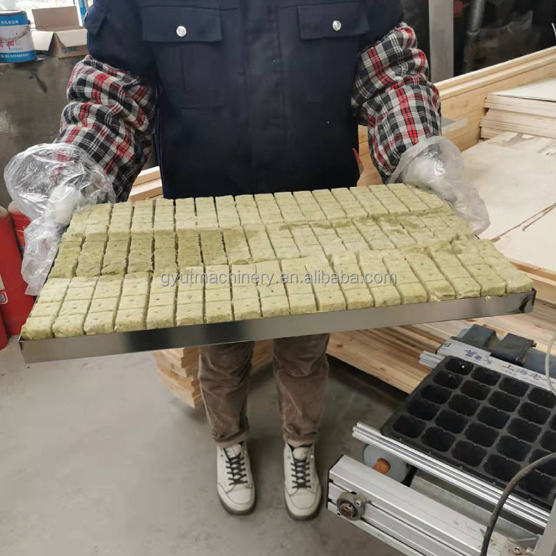 Discounted Sow Planting Machine for Cabbage Seed Nursery 600*700*800mm Size