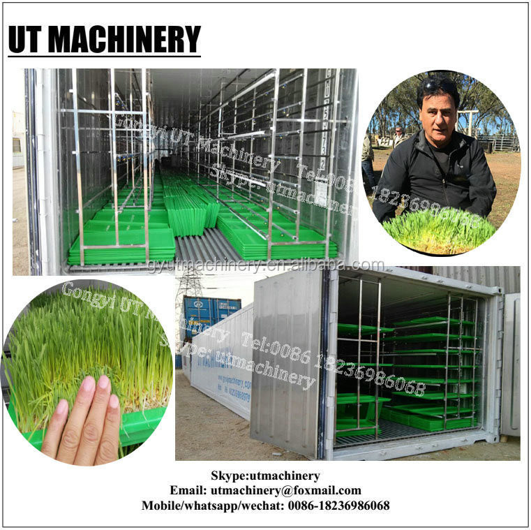 Bean Roots Processing Equipment for Daily Water Consumption of 3m3 Sprouts Production