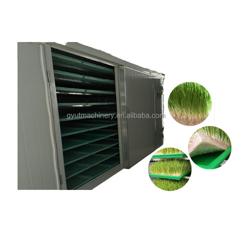 Compact Container Type Hydroponic Barley Fodder Growing Room for Optimal Sprout Box Size