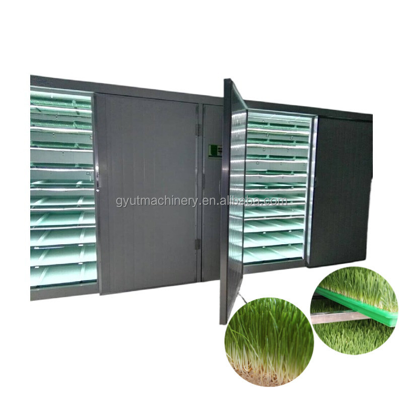 Compact Container Type Hydroponic Barley Fodder Growing Room for Optimal Sprout Box Size