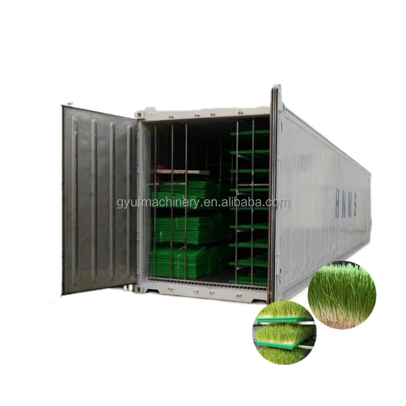 Container Type Wheat Seed and Barley Grass Sprouting Machine for Manufacturing Plant