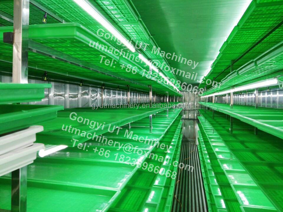 Container Type Wheat Seed and Barley Grass Sprouting Machine for Manufacturing Plant