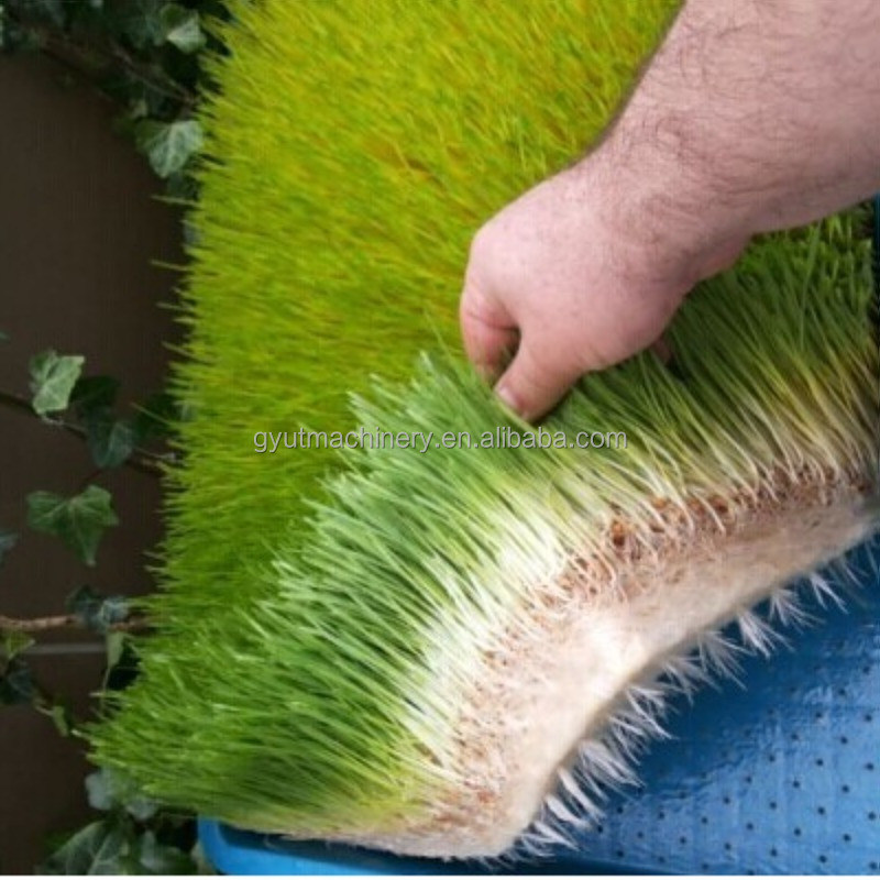 Top-Notch Microgreens Vegetable Growing Hydroponics Machines for Machinery Repair Shops