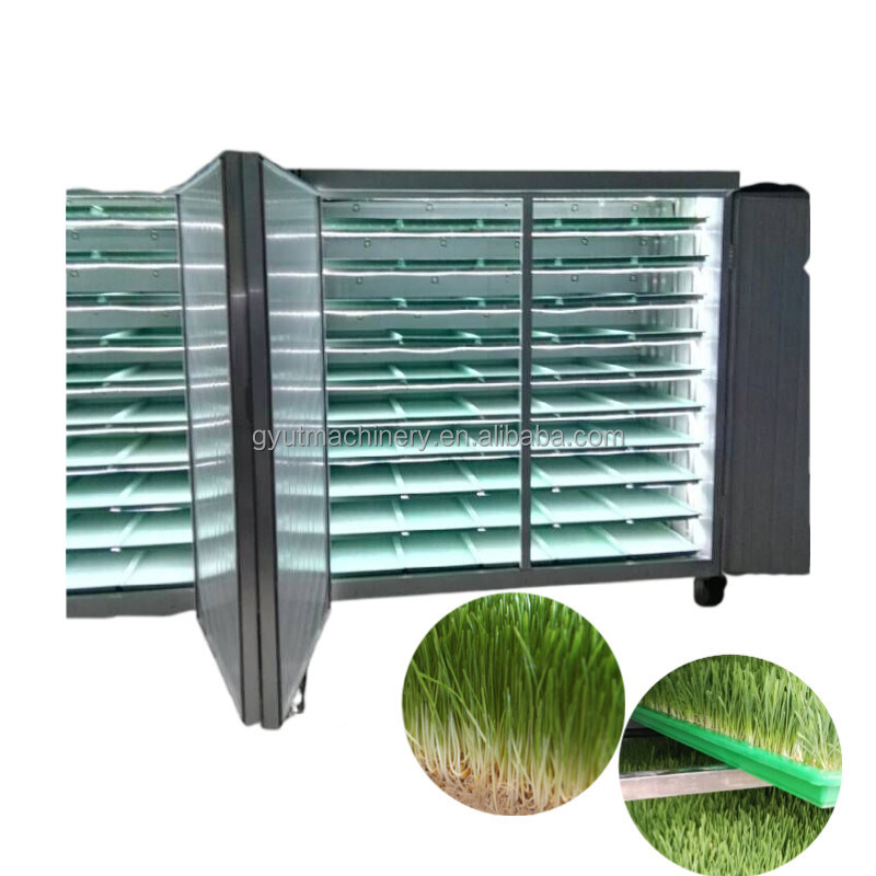 Hydroponic Hulless Barley Sprout Machines 3-4 Days Production Cycle 1.5 Tons Capacity