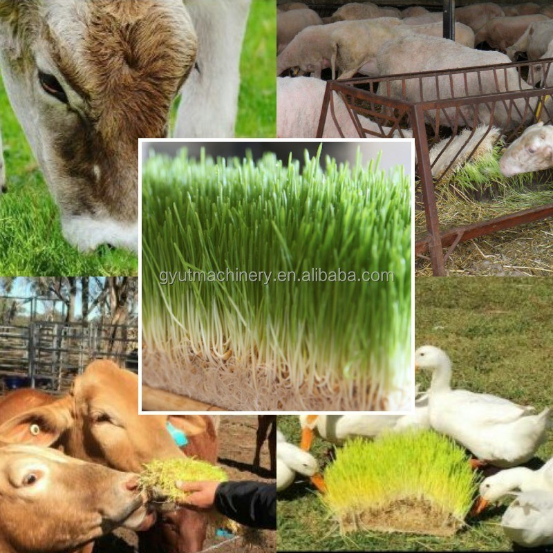 Customized Voltage Fully-enclosed Hydroponic Container Millet Grass Fodder Sprouting Machine