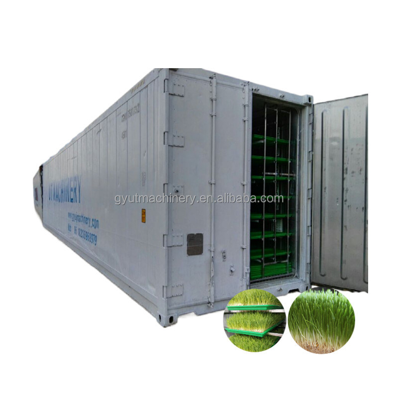 Innovative Hydroponic Feed Growing System for Raising Cattle and Sheep Weight KG 1200