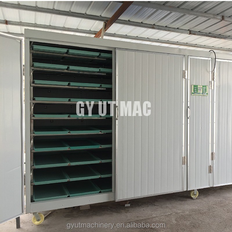 1ton/day Capacity Hydroponic Grass Fodder Growing Machine for Cattle Sheep Green Forage