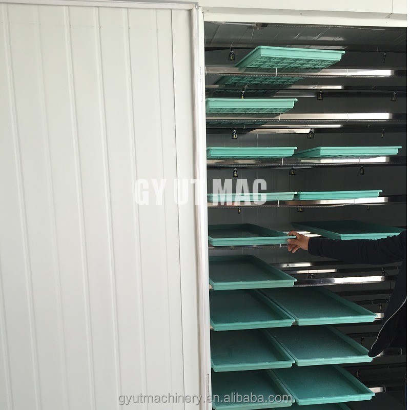 1ton/day Capacity Hydroponic Grass Fodder Growing Machine for Cattle Sheep Green Forage