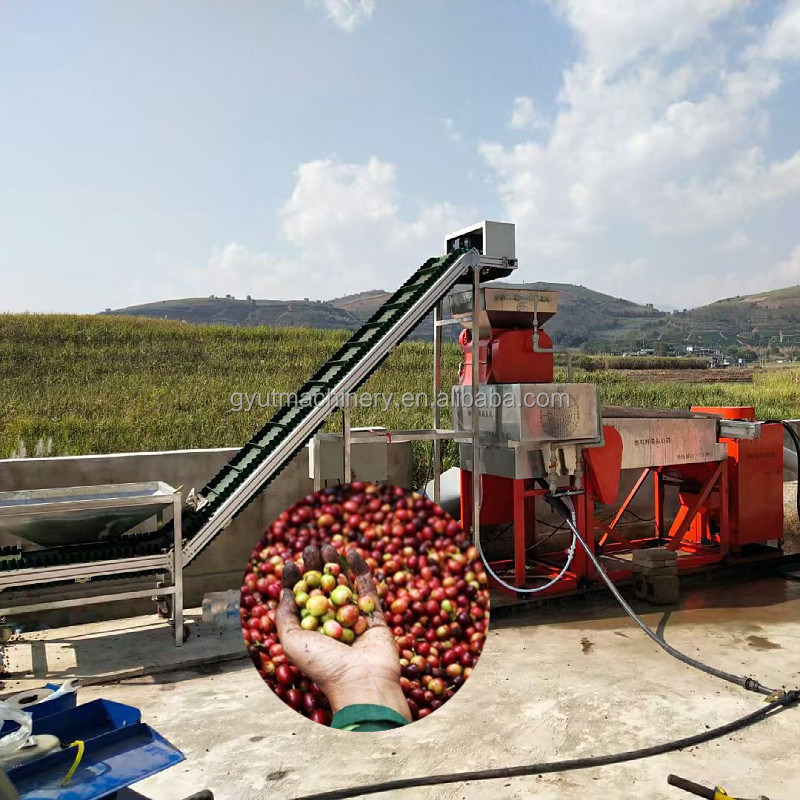 Coffee/Cocoa Beans Peeling Machine for Industrial Production at 910*730*1265mm Size