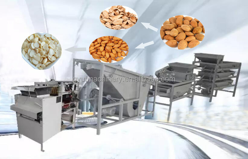 1.5KW Almond Huller Plant for Online Support Very Popular Almond Shell Broken Machine