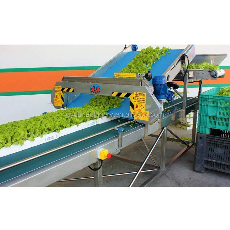 Row Distance mm 1000-1200mm The Best Choice for Harvesting Greenhouse Grown Microgreen